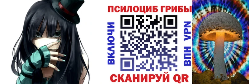 ОМГ ОМГ зеркало хочу Петрозаводск Псилоцибиновые грибы мицелий