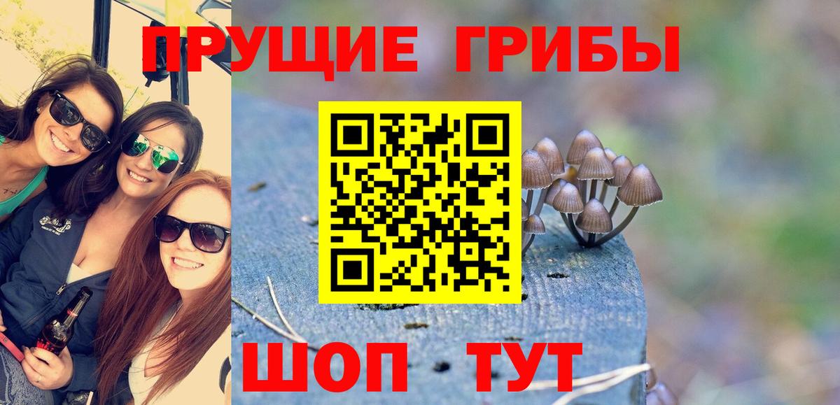Петрозаводск  Галлюциногенные грибы GOLDEN TEACHER  Вход с VPN  Галлюциногенные грибы Cubensis 